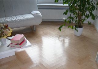 Alfred Zeilhofer GmbH Beispiel 2